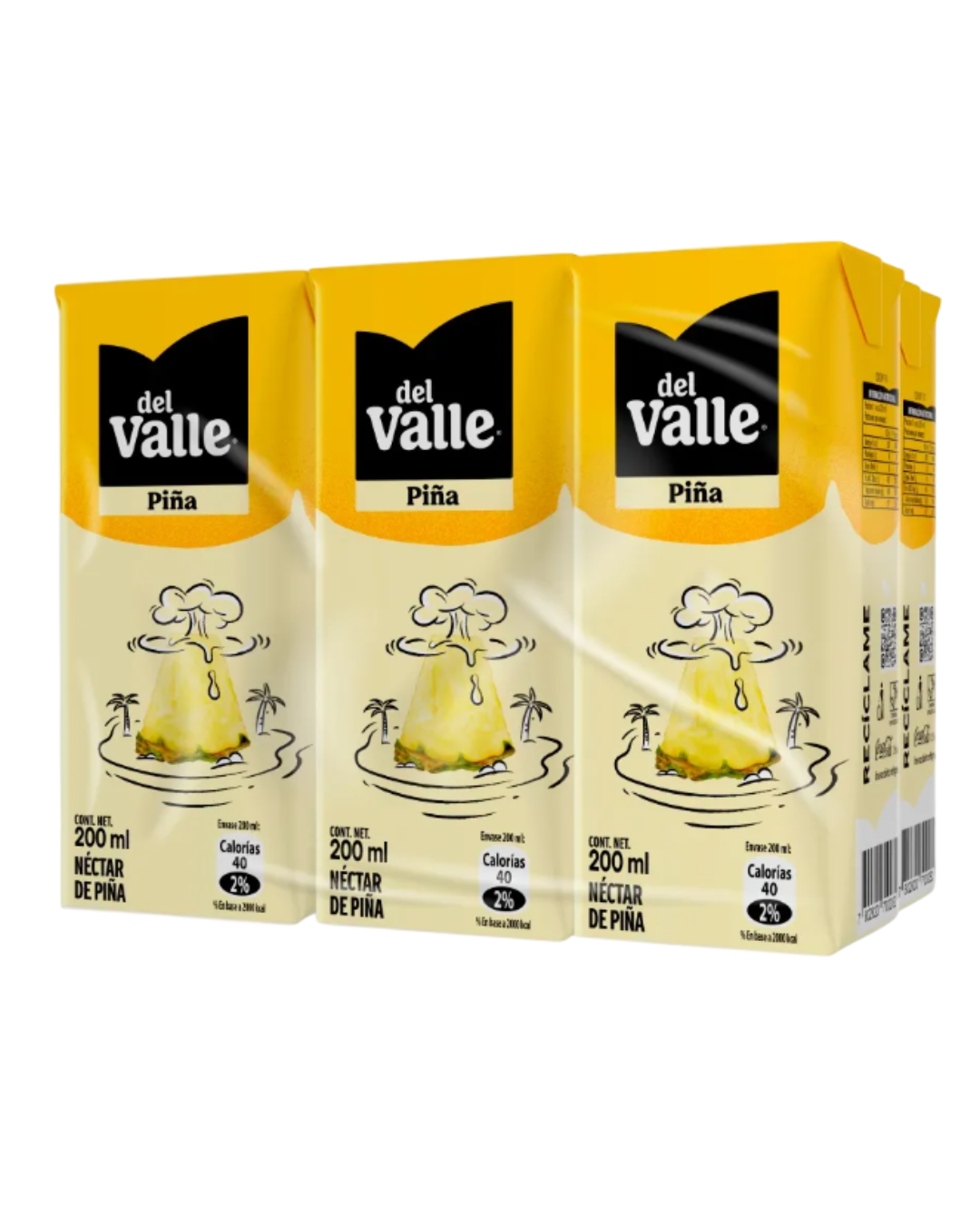 JUGO ANDINA DEL VALLE PACK X 6 UN.