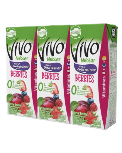 NECTAR VIVO PACK X 6UN. SABORES
