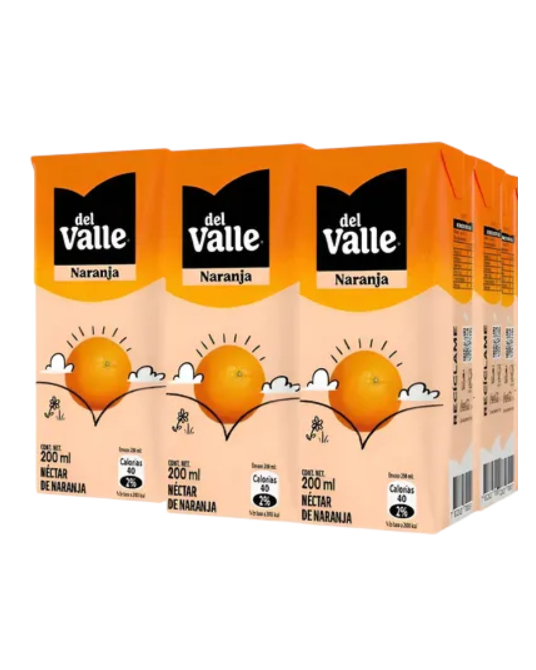 JUGO ANDINA DEL VALLE PACK X 6 UN.